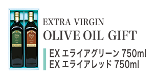 EX饤꡼(750ml)EX饤å(750ml)2